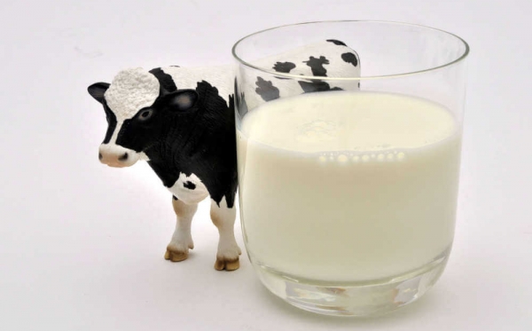 Hrvatska će izvoziti mlijeko u Kinu, a ne proizvodi ga dovoljno ni za nas. Kako to?