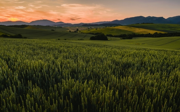 Kome smeta prodaja zemljišta strancima?